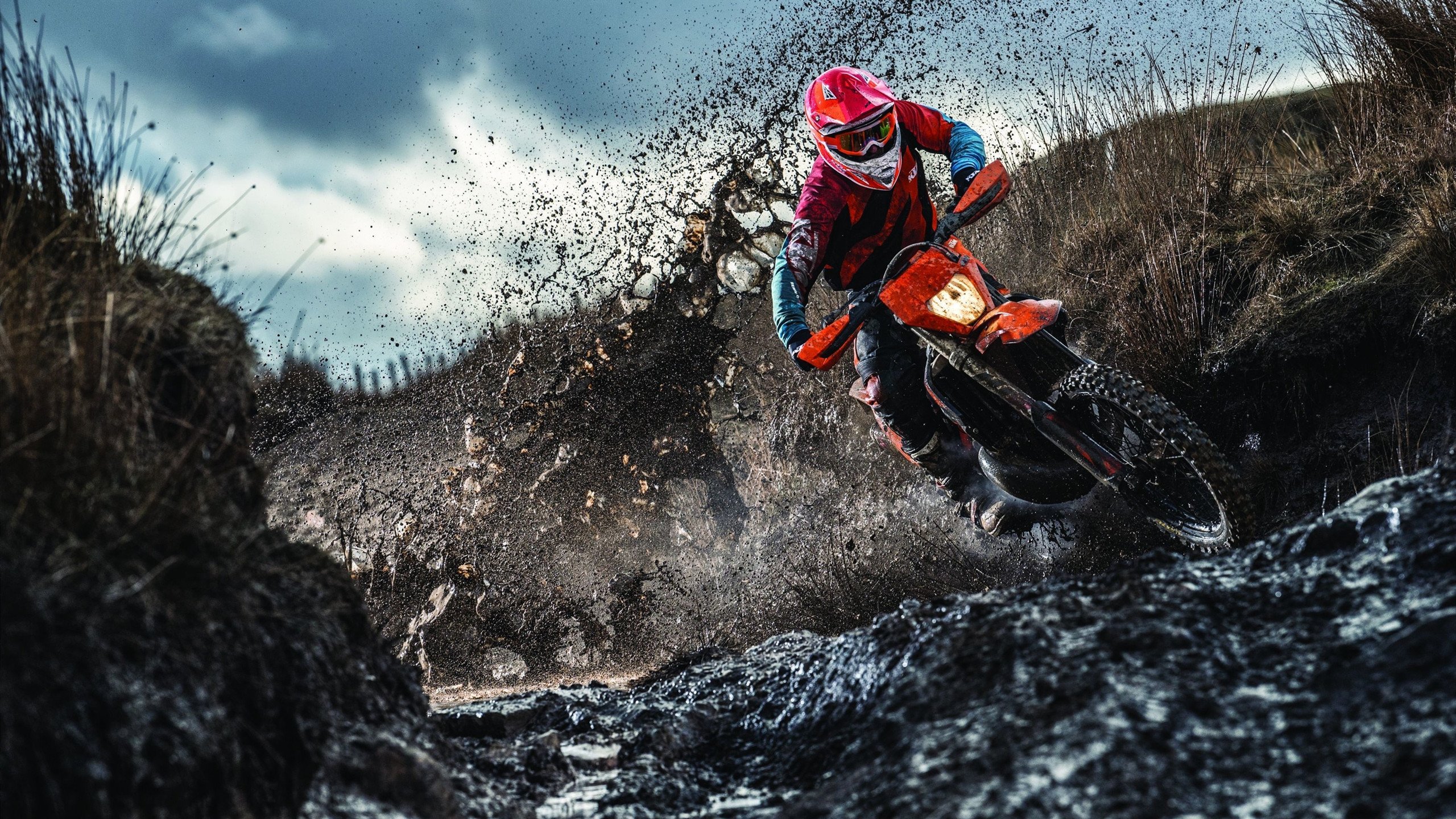 开云官方-《国际社交媒体上的电竞话题热度持续升高》，国际电竞游